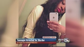 Teen Arrested for Deadly Shooting at Mobile McDonald's