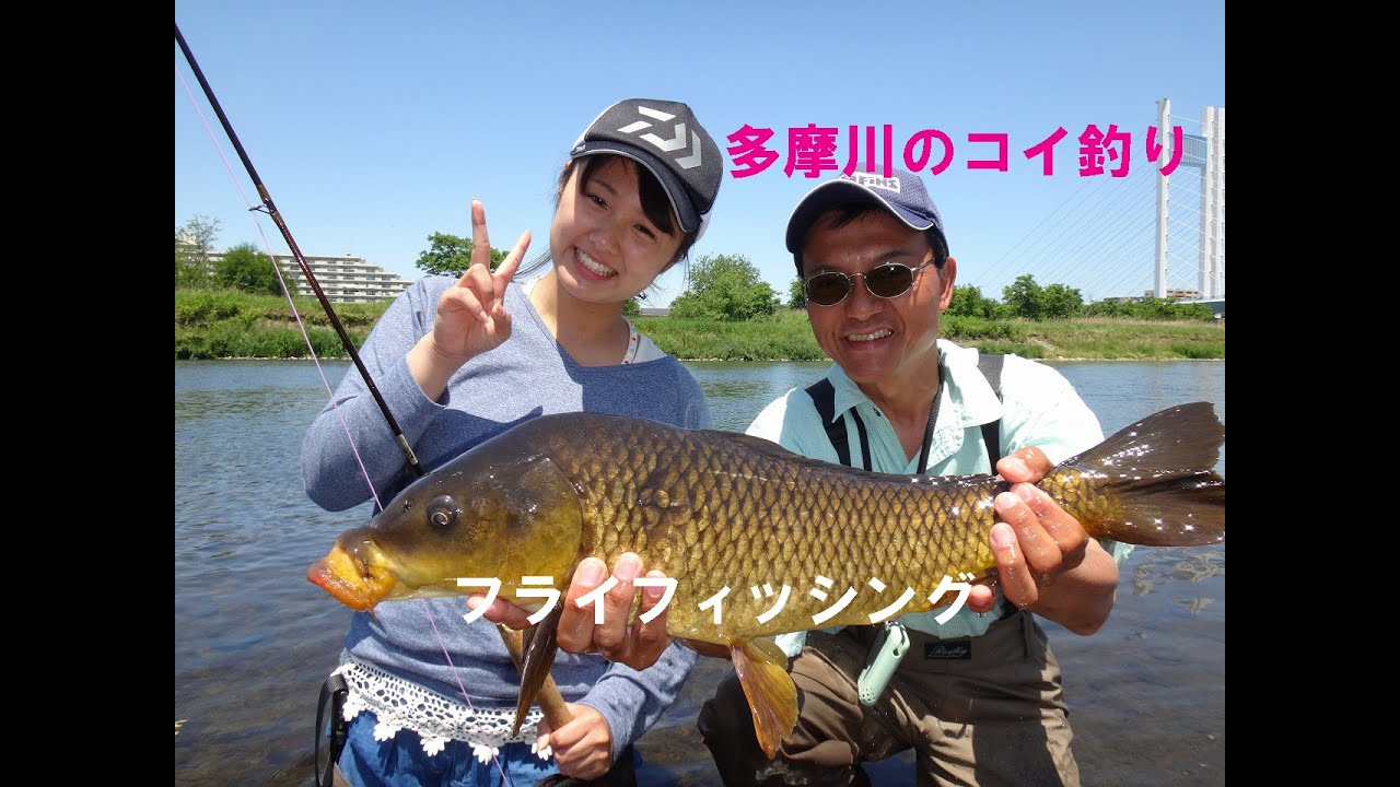 最終値下げ！鯉釣りアオ釣りに 明日まで、掲載です。 最終値下げ！鯉釣りアオ釣りに - メルカリ