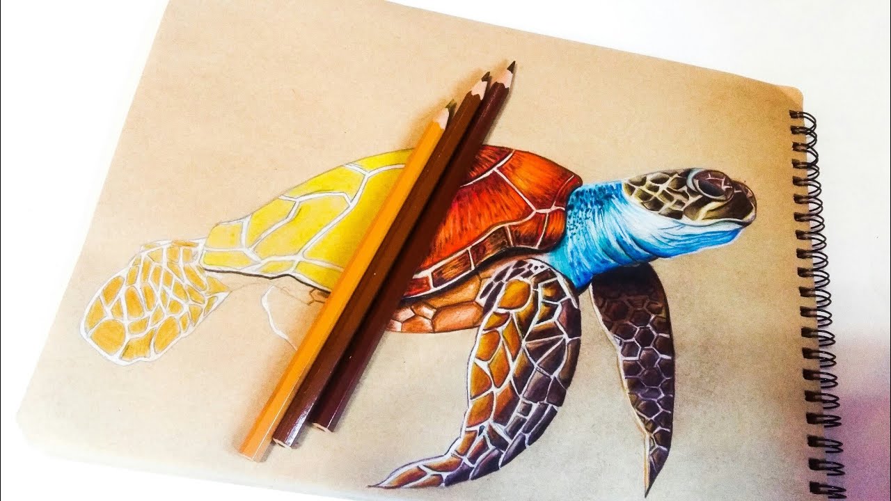 Animal drawing - TURTLE — Steemit