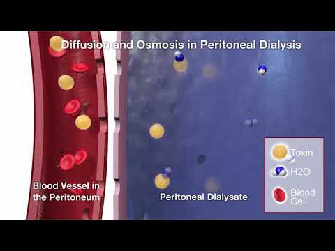 Satellite Healthcare | PD | Diffusion & Osmosis | 3D Animation