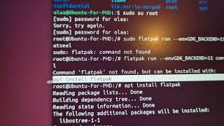 MESA: error: Failed to attach to x11 shm