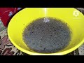 Gurd wala Sharbat recipe by Ayesha kitchen A2 😋