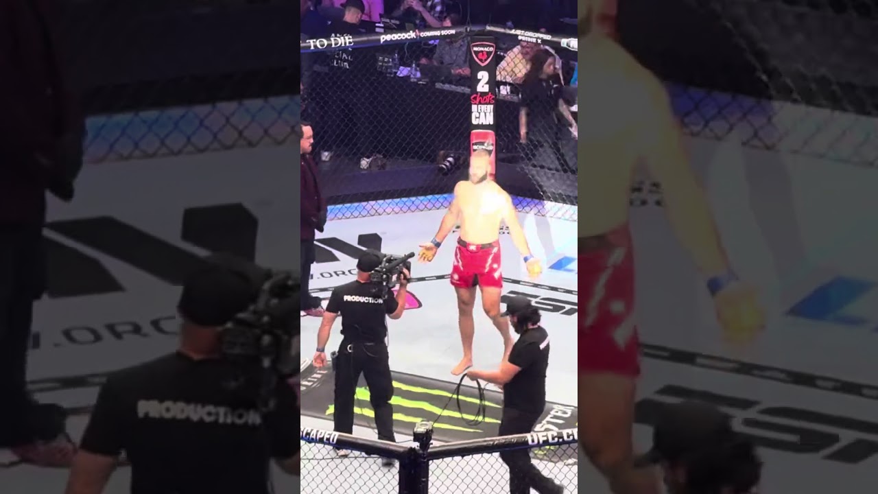 UFC 303 Alex Pereira & Jiri Prochazka walkout