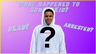 What Happened to SunHatKid? (Aaron Hall)
