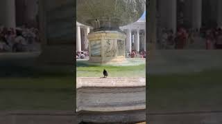 Vaticano Italy