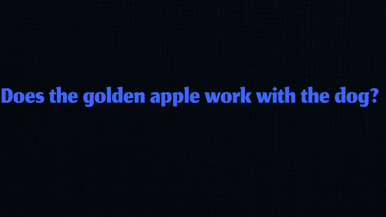 Does The Golden Apple Work With The Dog YouTube Does the golden apple work with the dog youtube