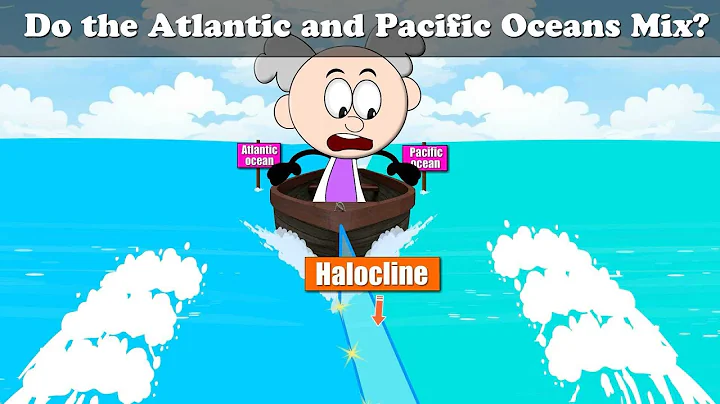 Do the Atlantic and Pacific Oceans Mix? + more videos | #aumsum #kids #cartoon #science