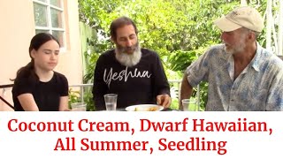 Mango Tasting Table #3: Coconut Cream, Dwarf Hawaiian. All Summer, Seedling