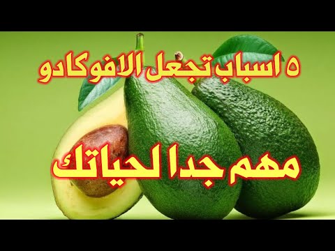 الافوكادو واسرار الصحة داخله/ ٣ ثمرات اسبوعيا ولن تصدق ماسوف تراه/ المختصر المفيد_مع الدكتور