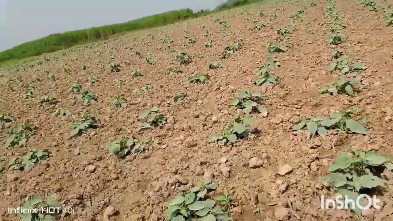 Ukowategura ubuhinzibwintoryip4