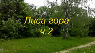 Лиса гора ч.2