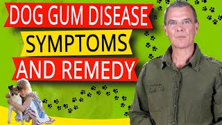 Symptoms Of Gum Disease In Dogs (5 Symptoms, Home Remedy and Best Diet)