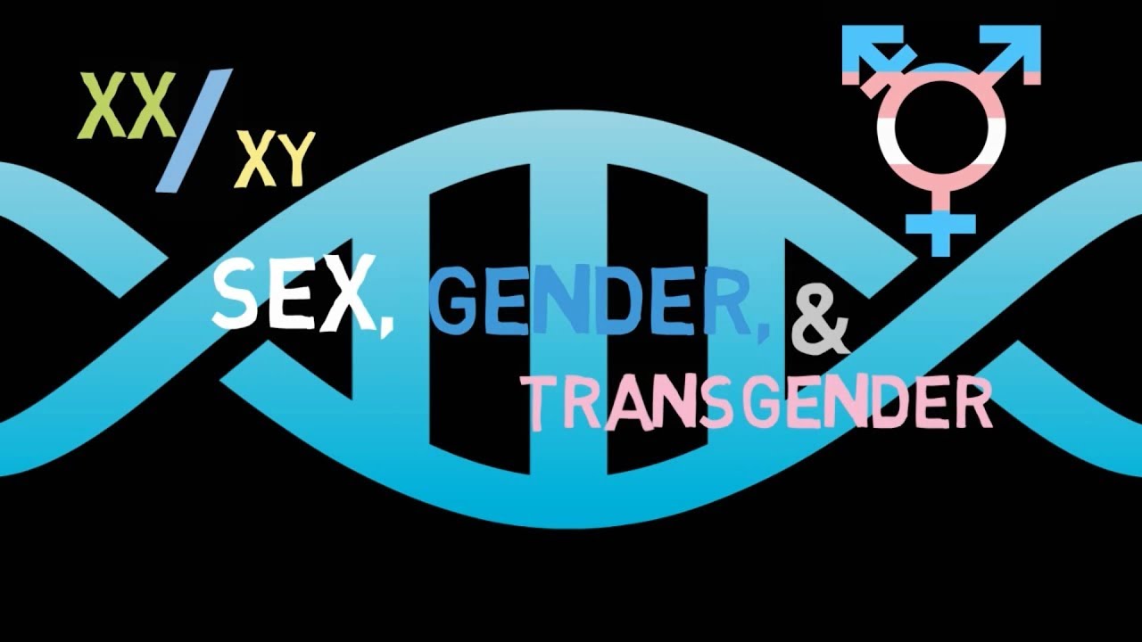 Sex Gender And Transgender Youtube