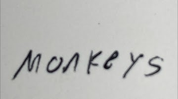 The monkey’s are coming