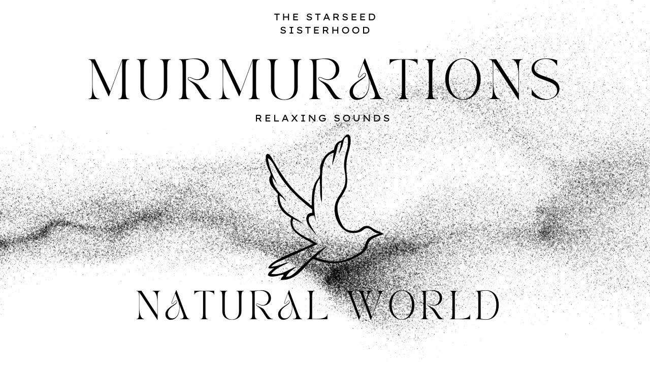 ZEN Hang Drum Relaxing Murmurations inspired by the Natural World YouTube