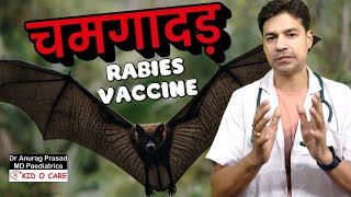 चमगादड़ के काटने पर कितनी Rabies Vaccine लगती है? Indian Protocol Explained by Doctor Anurag Prasad