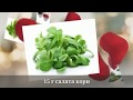 Рецепт СЫРОЕД! МИКС из листьев салата с пророщенными семенами