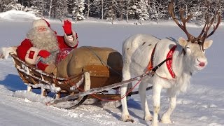 Papá Noel 🎅🦌 Santa Claus video para los niños: super líquenes de los renos en Finlandia Navidad