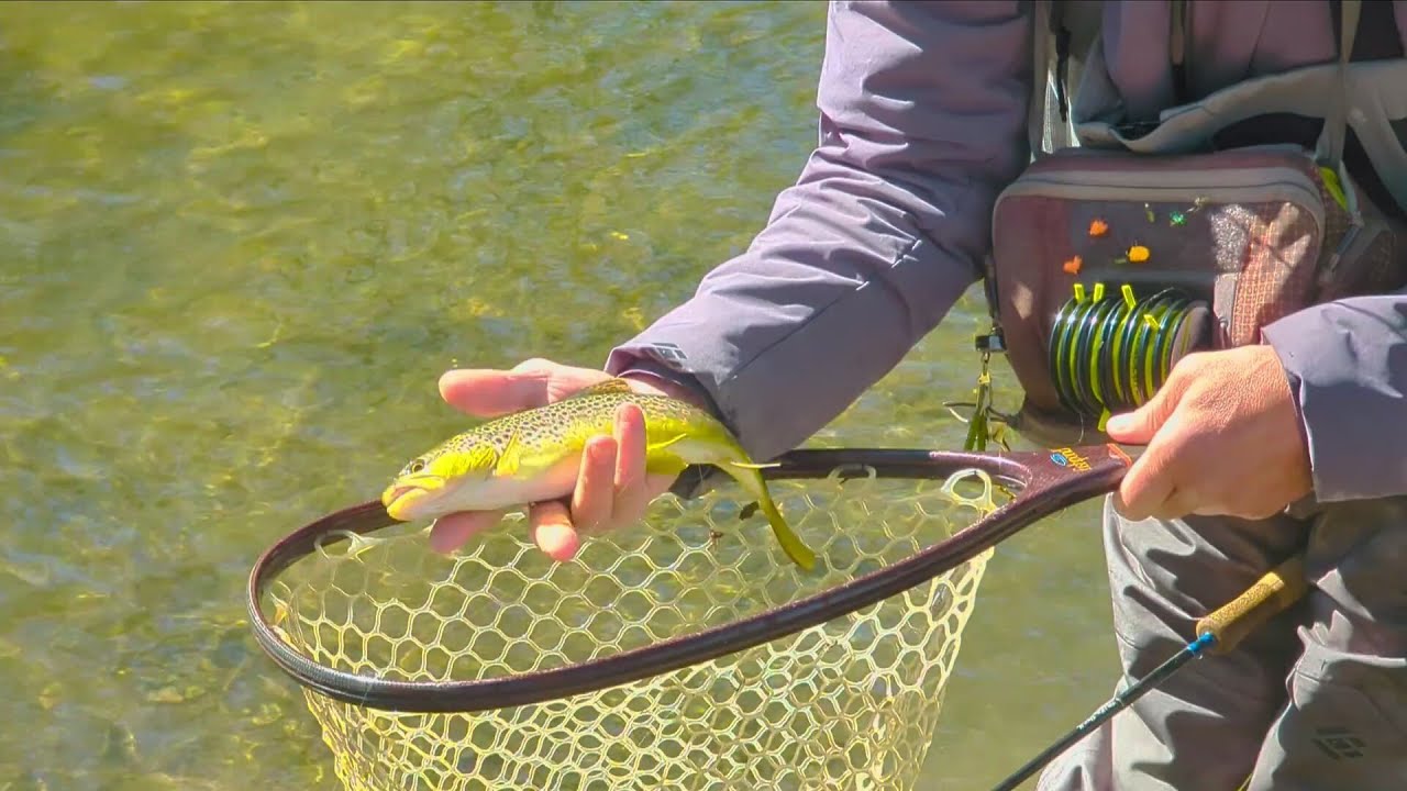 b&q fishing net Flexible/Expandable Fish Basket