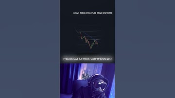 Support and Resistance Levels: The Trader