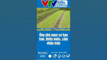 Ứng phó nguy cơ hạn hán, thiếu nước, xâm nhập mặn | VTVWDB