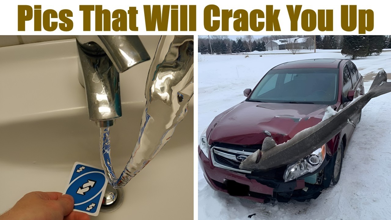 Random Pics From The Internet That Will Crack You Up