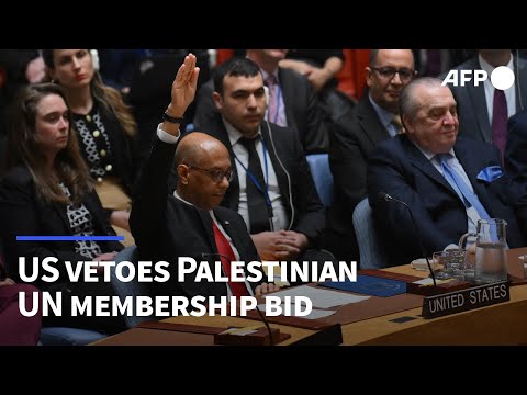 US veto sinks Palestinian UN membership bid in Security Council | AFP