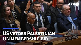 US veto sinks Palestinian UN membership bid in Security Council | AFP