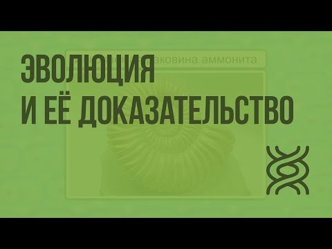 Видео: Кто первым обсудит эволюцию жизни?