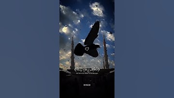 #قرآن كريم #اكسبلور#النظافه#الرحمن #راحة_نفسية#استخدموا الصوت سبحان الله وبحمده سبحان الله العظيم