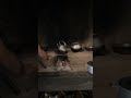 Wood clay stove Sri Lanka