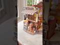 She already lost some of the tiny pet foods 🥲 #rolife #diyminiature #miniaturemodel #asmr