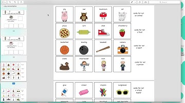 Product Preview - I Spy Non Examples Adapted Book