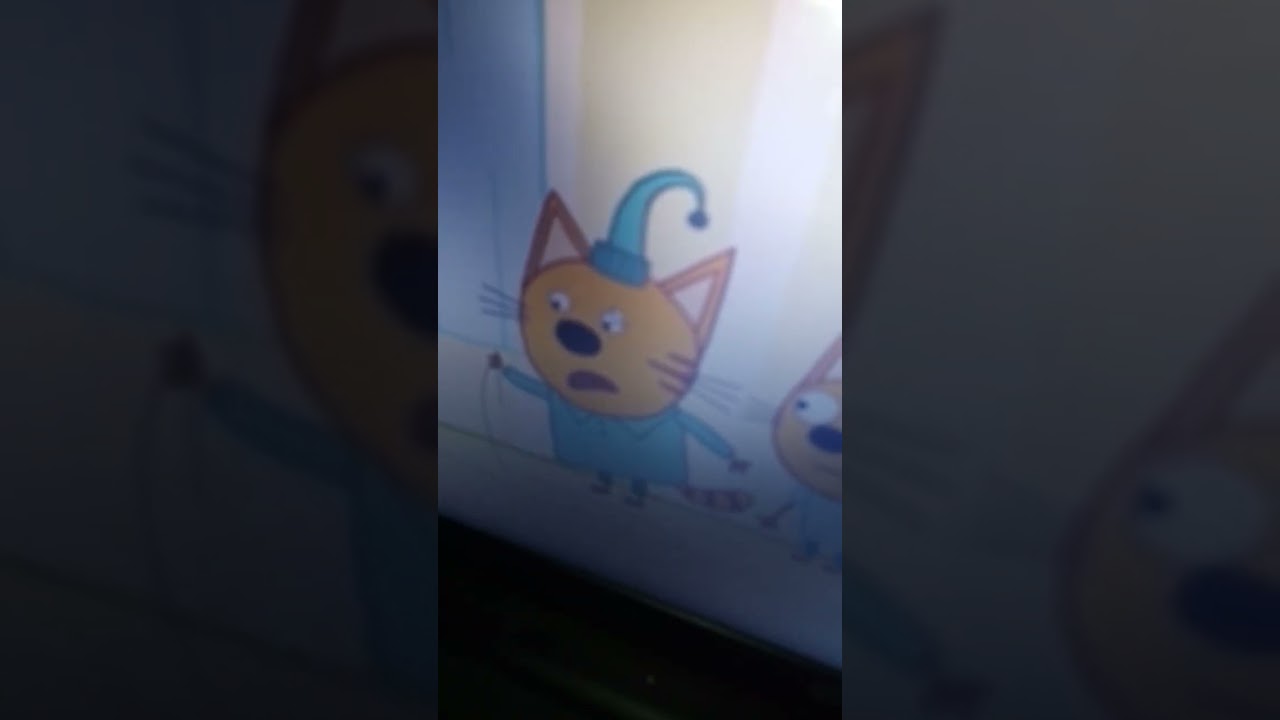 Три кота ляпы