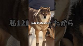 12歳の柴犬が同居犬に伝えたかったこと…