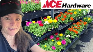 Plant Shopping - New Spring Flowers Just Arrived!!! by Garden Happy 1,931 views 2 months ago 13 minutes, 30 seconds