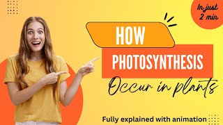 What is Photosynthesis Process in Plants  | How Plants Make Food  | Process of Photosynthesis 