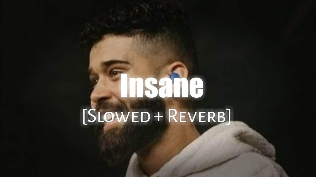 Insane   Slowed  Reverb ft Ap Dhillon  Namya editz