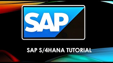 SAP S/4 HANA Vendor Master to Business Partner IBUPACUSTOMER SE16 Tcode