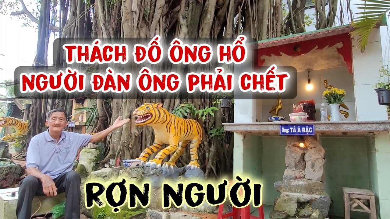 Ly kỳ Người đàn ông ngạo mạng thách đố Ông Hổ phải trả giá bằng tánh mạng