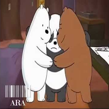 Ccp we bear bears