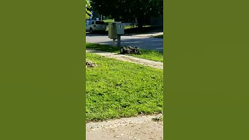 More... RC LAWNMOWER v3