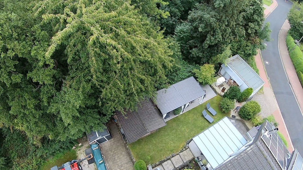 20 Meter Kirsche in einer Stunde fällen? Kran macht es möglich!