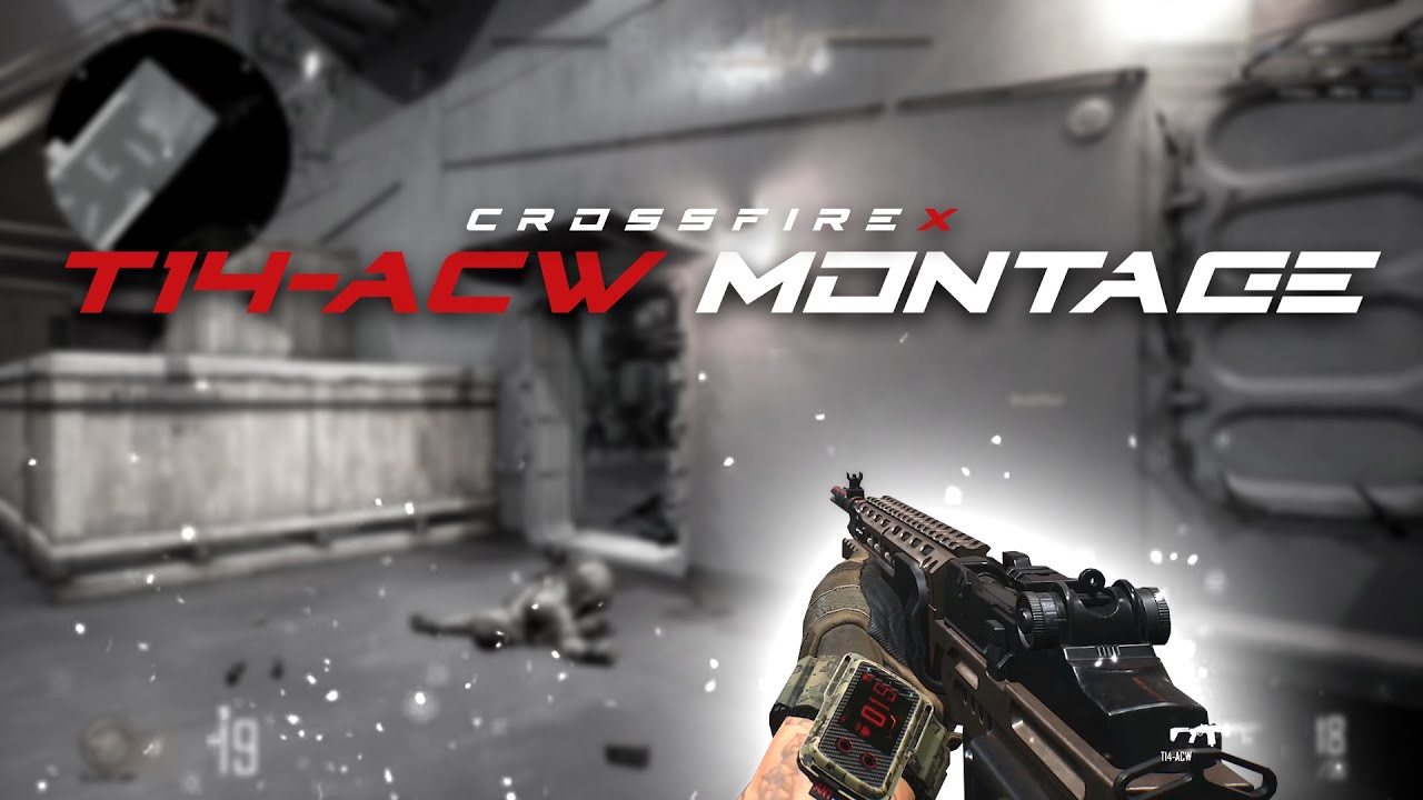 CrossFireX | T14-ACW Montage