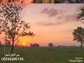 مالي صديق بغربتي وشكيله خلوني شوف احبابي