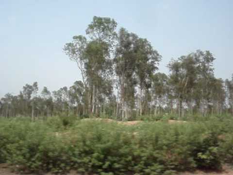 falaknuma express 12703 2381 Poorva Express blasts through the forests of Hazaribagh