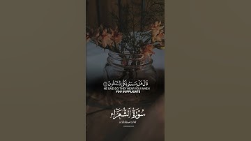 الراحة النفسية بصوت القارئ عبد الله الموسى القران الكريم
