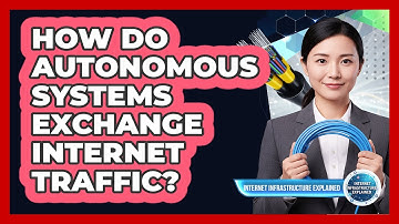 How Do Autonomous Systems Exchange Internet Traffic?