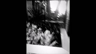 01. Seng° - sorix°