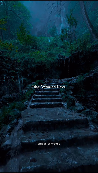 Ishq Wala Love 💖💫 - Song Lyrics ✨ || Aesthetic lyrics status #lyrics #shorts #explore #trending #4k